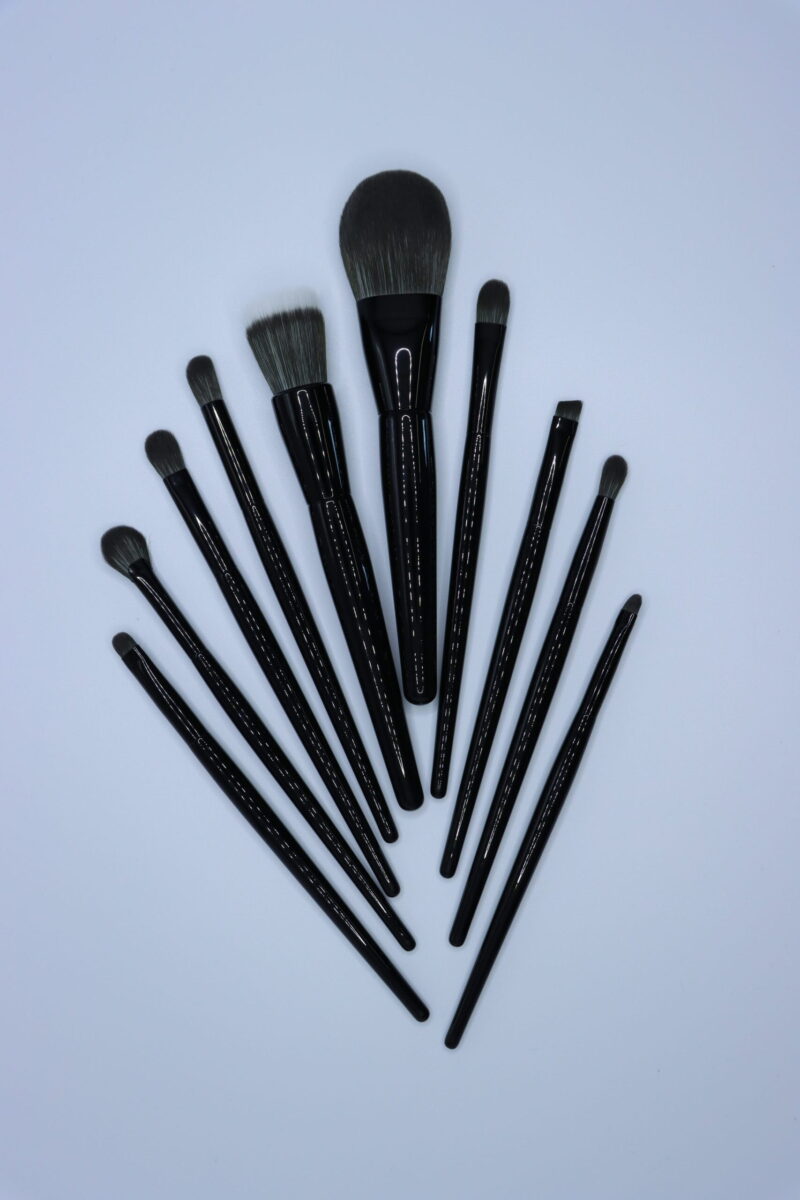 10-Pcs Professional Makeup Brush set