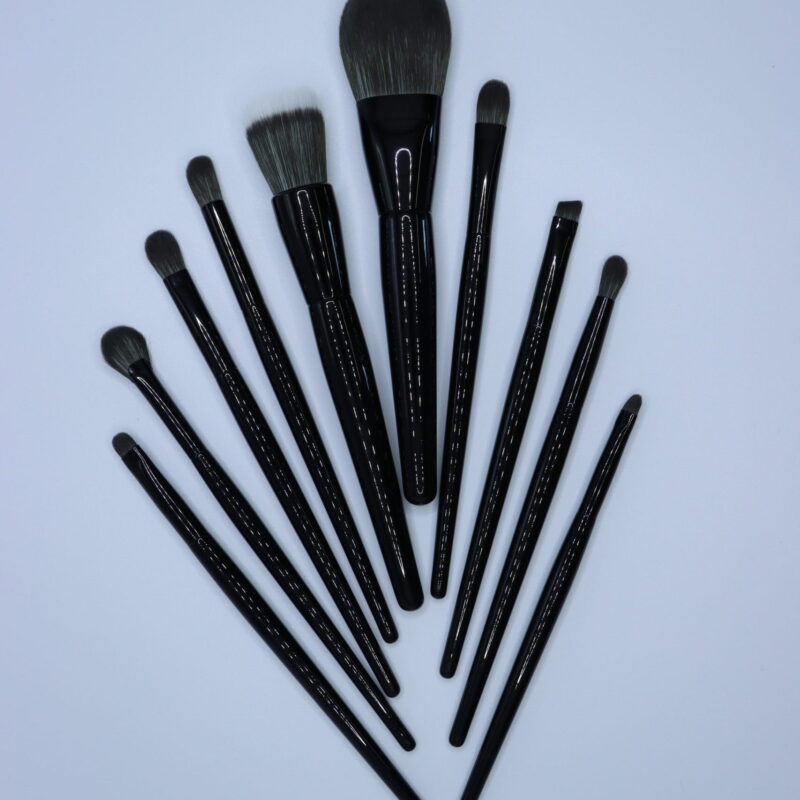 10-Pcs Professional Makeup Brush set